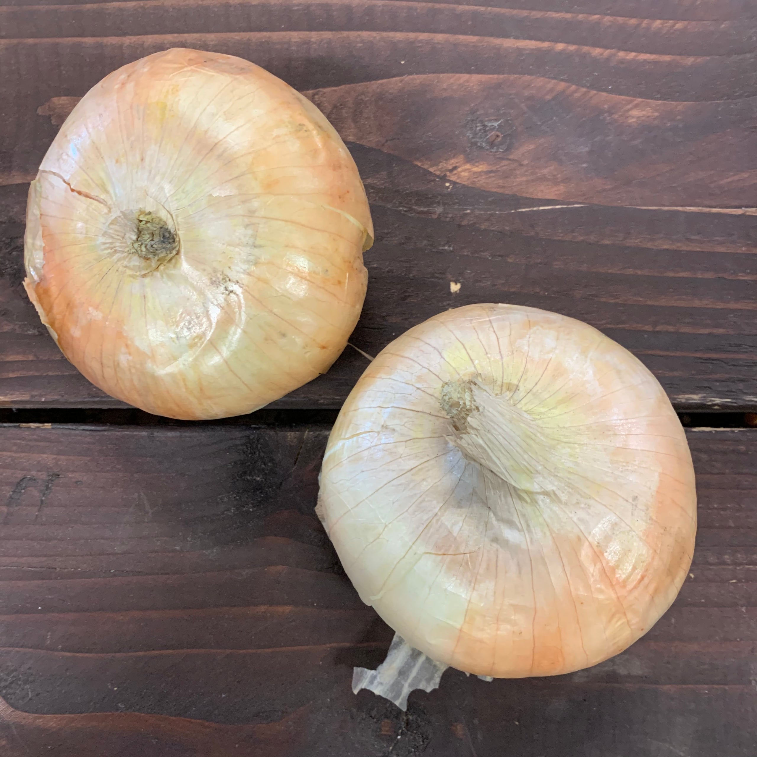 Produce Lee Farms Market & Bakery Open TuesdaySunday 95 Closed Mondays